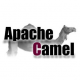 Apache Camel Training in Moldova