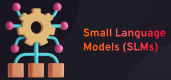 Small Language Models (SLMs) Training in Moldova