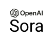 Sora Training in Moldova